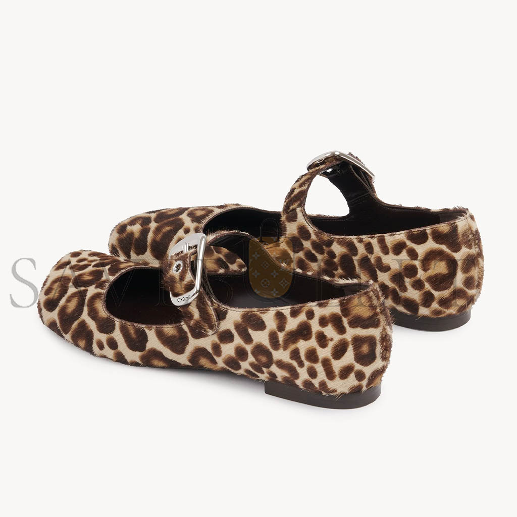 Ch10e polly ballerina chc24w07boq220